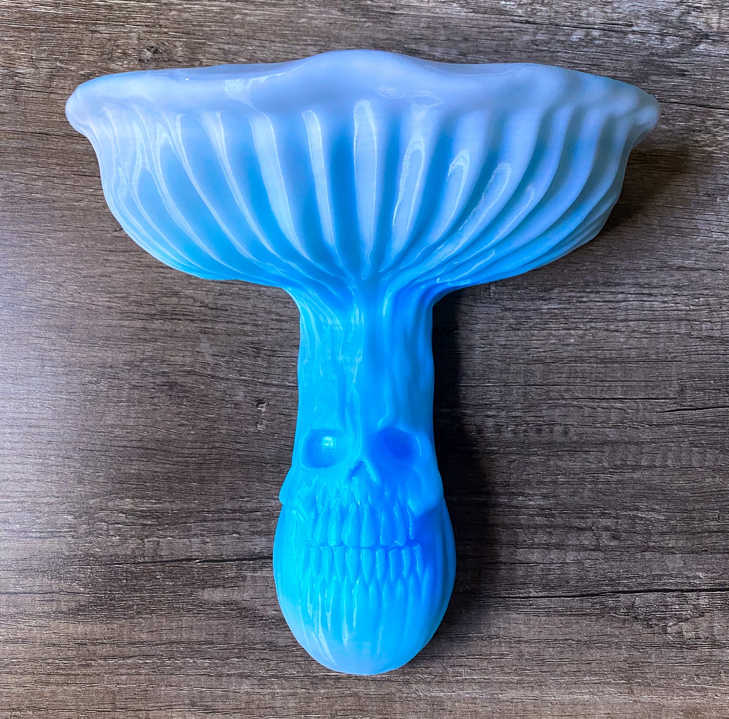 Large Mushroom Shelf