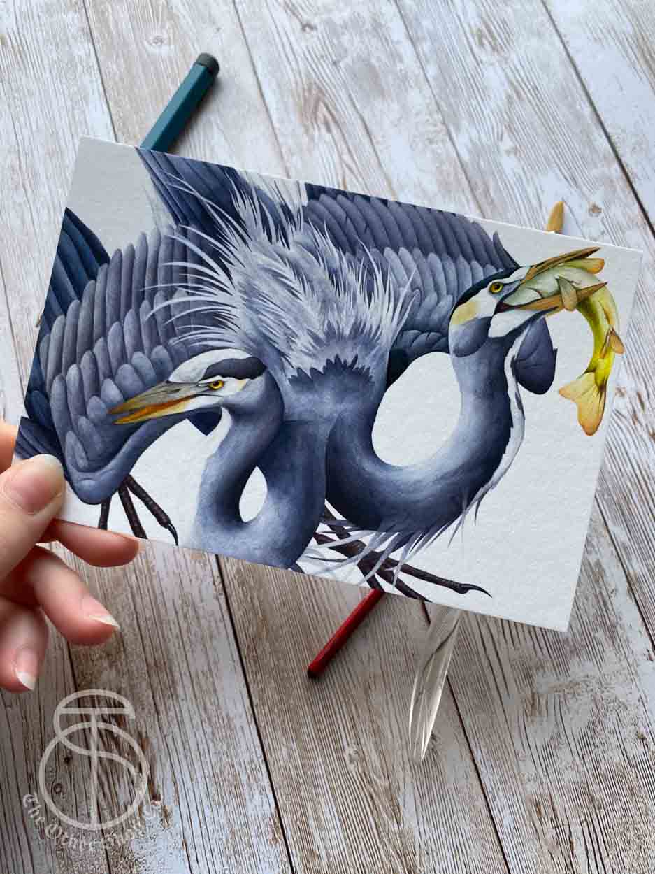 Double Headed Heron Art Print