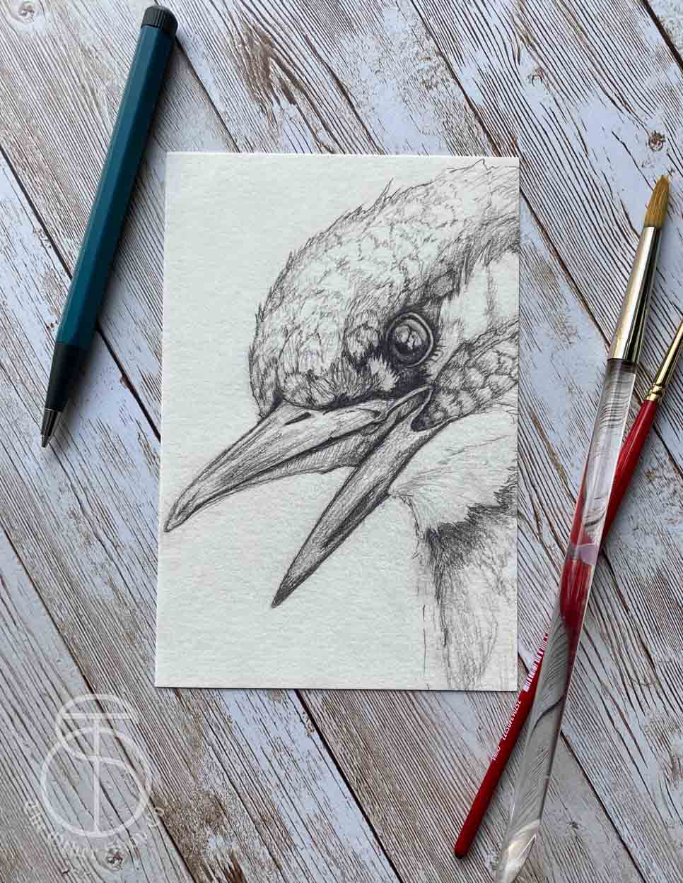 Kingfisher Bird Art Print