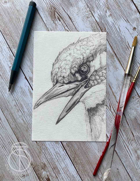 Kingfisher Bird Art Print