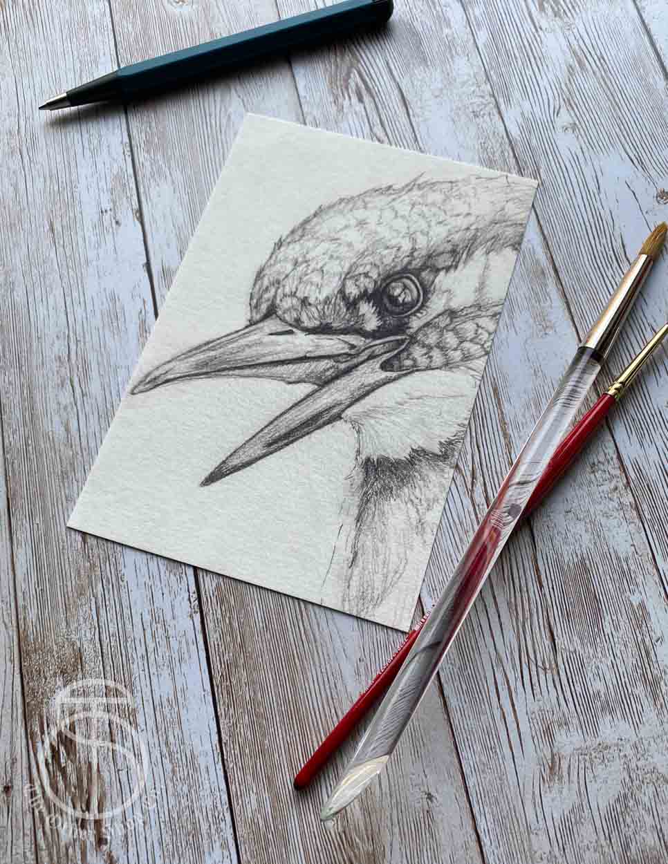 Kingfisher Bird Art Print