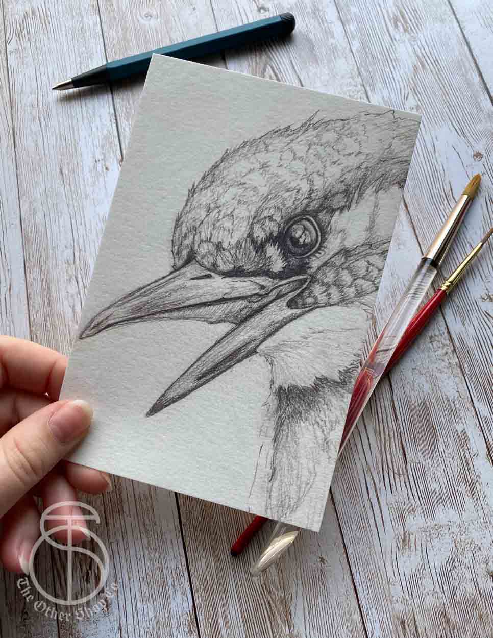 Kingfisher Bird Art Print