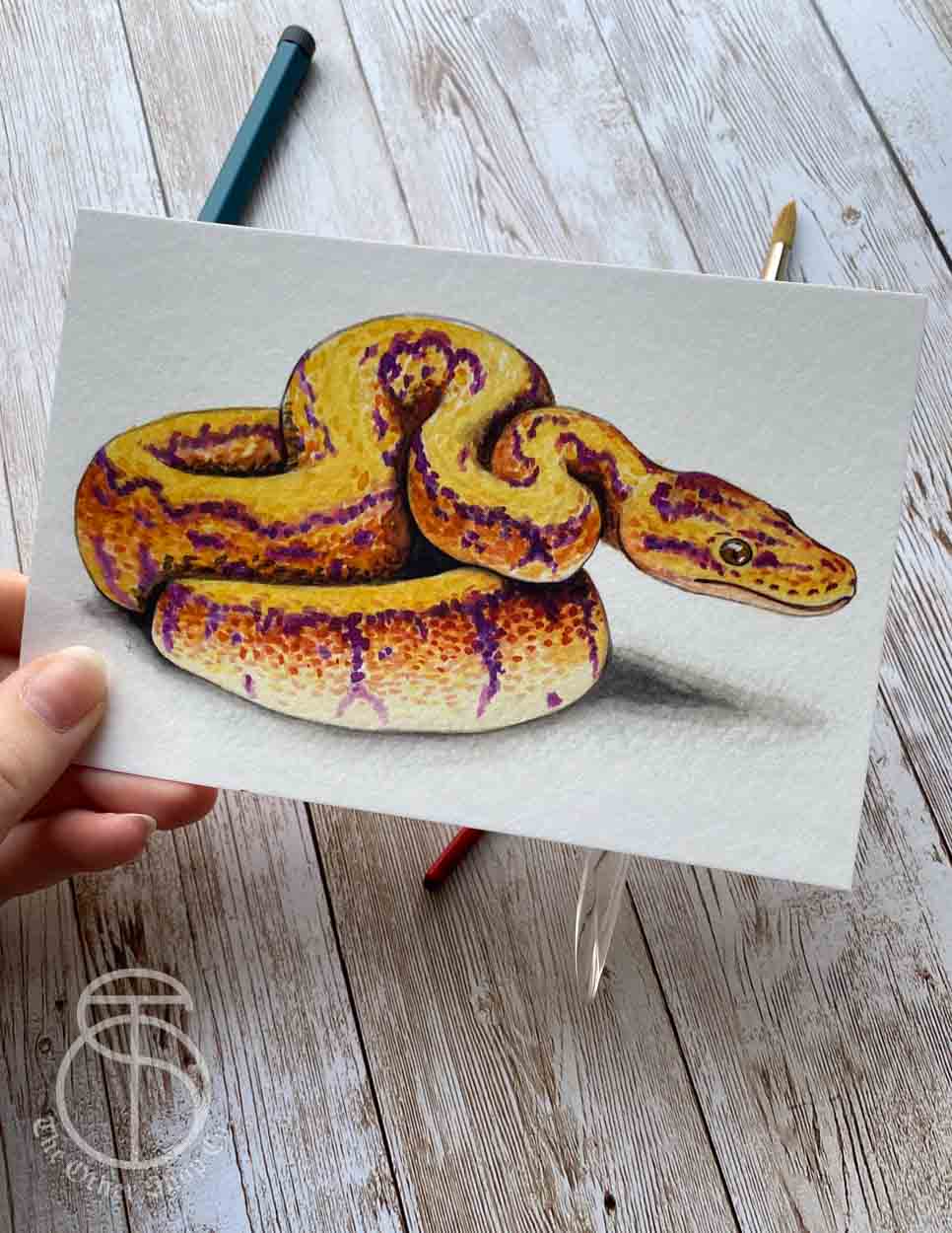 Orange Ball Python Art Print