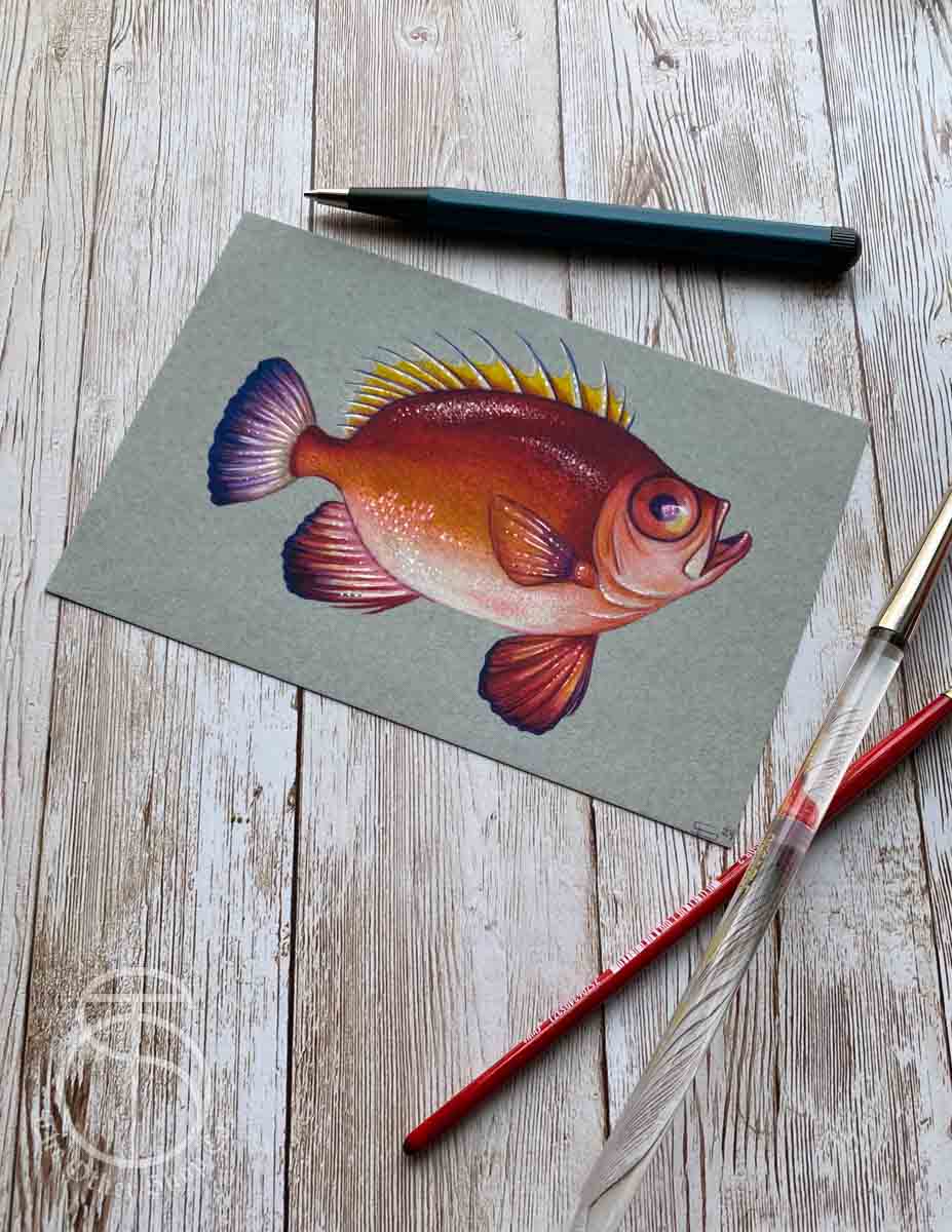Red Fish Art Print