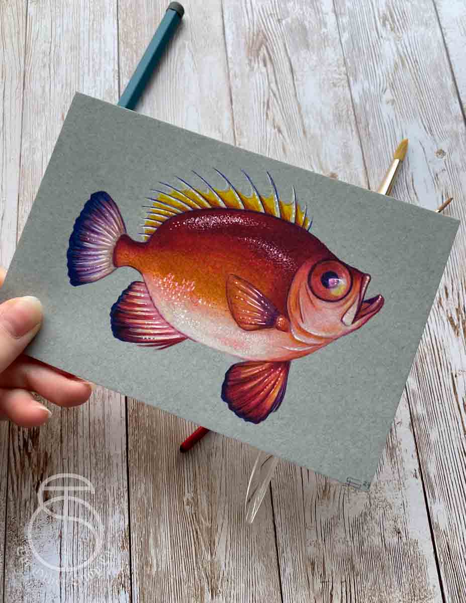 Red Fish Art Print