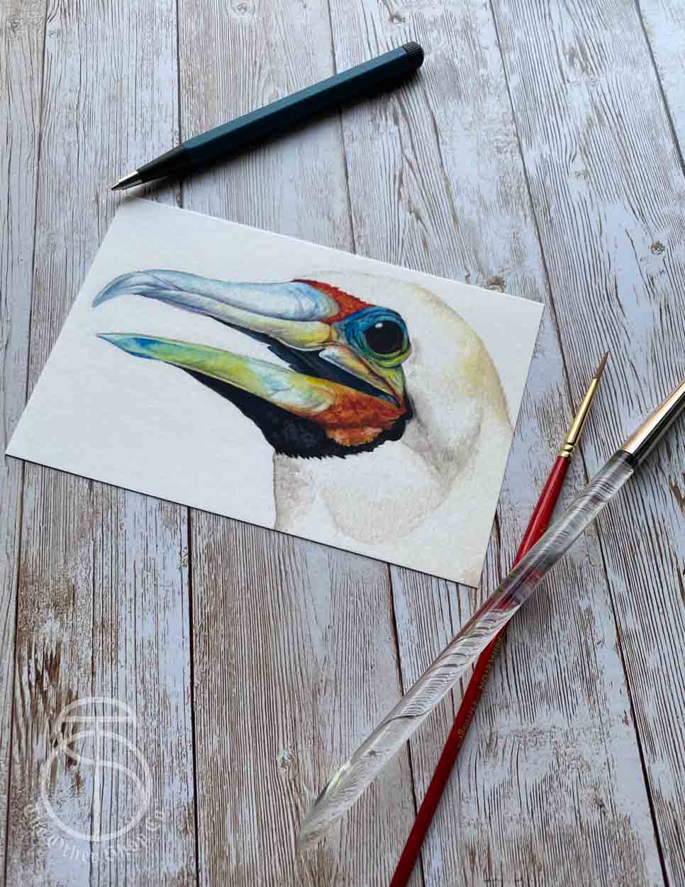 Red Footed Booby Bird Art Print