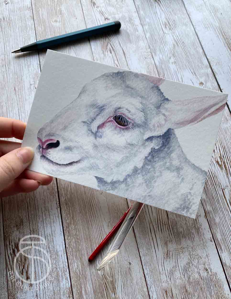 White Lamb Art Print