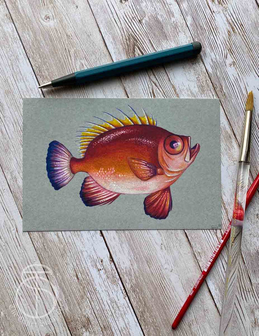 Red Fish Art Print