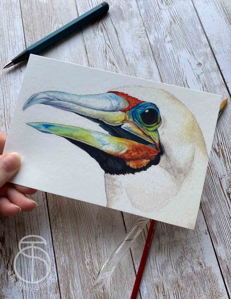 Red Footed Booby Bird Art Print