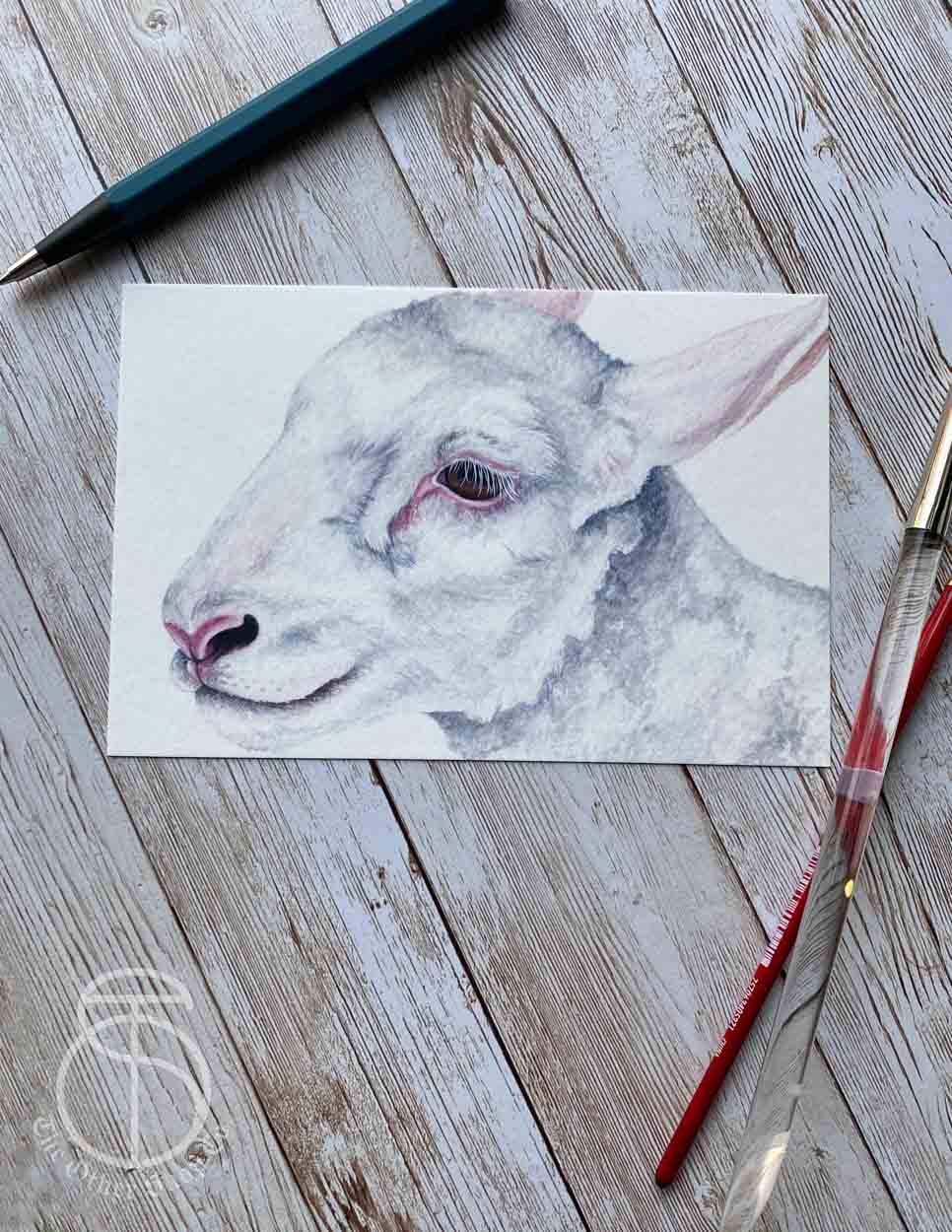 White Lamb Art Print